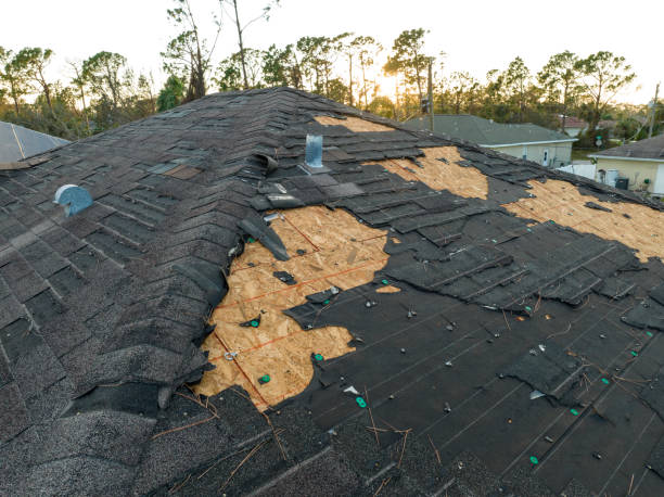 Best Roof Maintenance and Cleaning  in Shenandoah, TX